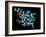 Vitamin B12, Molecular Model-Laguna Design-Framed Photographic Print