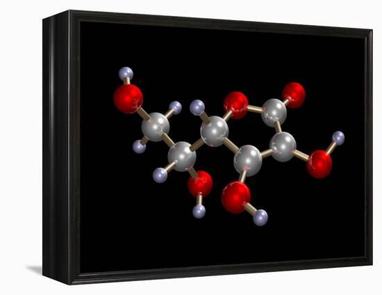 Vitamin C Molecule-Dr. Mark J.-Framed Premier Image Canvas