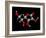 Vitamin C Molecule-Dr. Mark J.-Framed Photographic Print