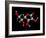 Vitamin C Molecule-Dr. Mark J.-Framed Photographic Print