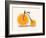 Vitamin-Florent Bodart-Framed Art Print