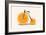 Vitamin-Florent Bodart-Framed Giclee Print