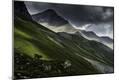 Photographic Print