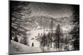 Photographic Print