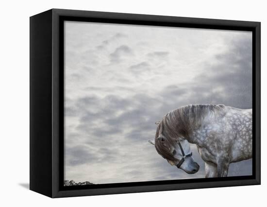Vito-Susan Friedman-Framed Premier Image Canvas