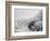 Vito-Susan Friedman-Framed Photographic Print