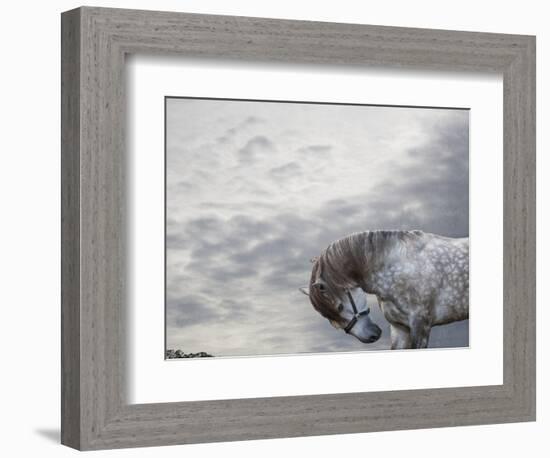 Vito-Susan Friedman-Framed Photographic Print