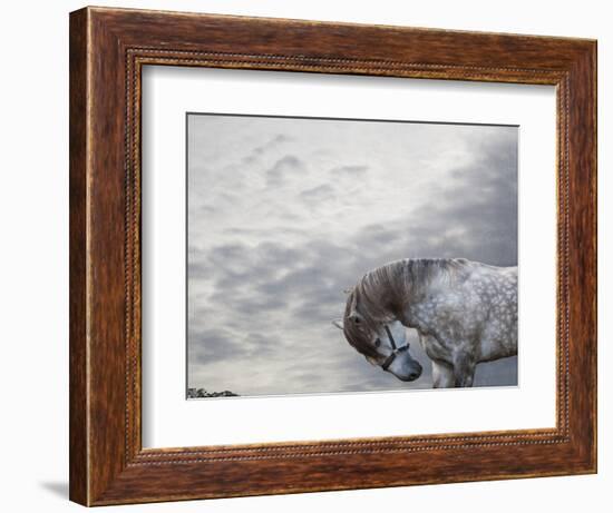 Vito-Susan Friedman-Framed Photographic Print