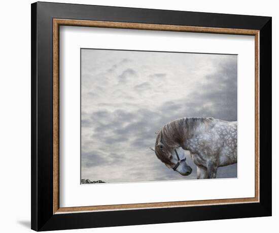 Vito-Susan Friedman-Framed Photographic Print