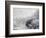 Vito-Susan Friedman-Framed Photographic Print