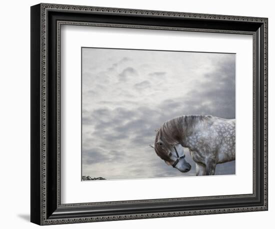 Vito-Susan Friedman-Framed Photographic Print