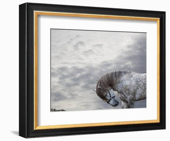 Vito-Susan Friedman-Framed Photographic Print