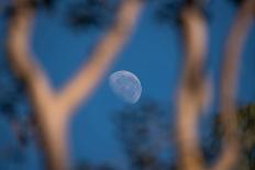 Partial Moon Seen during the Day with Blue Sky in Serrinha Do Alambari Ecological Reserve, Serra Da-Vitor Marigo-Photographic Print