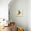 Vitra Eames House Birds II-Anita Nilsson-Premium Giclee Print displayed on a wall