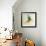 Vitra Eames House Birds II-Anita Nilsson-Framed Art Print displayed on a wall