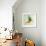 Vitra Eames House Birds II-Anita Nilsson-Framed Art Print displayed on a wall