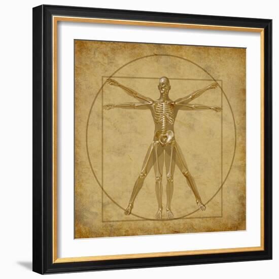 Vitruvian Human Diagram Grunge Medical Chart-digitalista-Framed Art Print