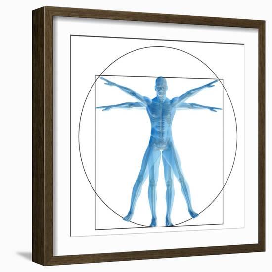 Vitruvian Human or Man, Anatomy Body for Biology-bestdesign36-Framed Premium Giclee Print