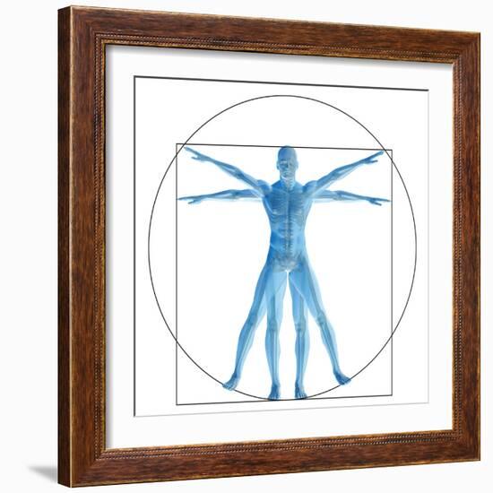 Vitruvian Human or Man, Anatomy Body for Biology-bestdesign36-Framed Premium Giclee Print