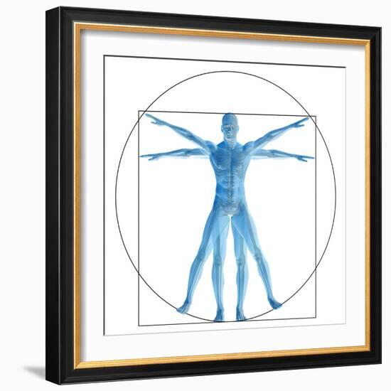 Vitruvian Human or Man, Anatomy Body for Biology-bestdesign36-Framed Premium Giclee Print