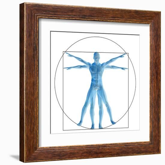 Vitruvian Human or Man, Anatomy Body for Biology-bestdesign36-Framed Art Print