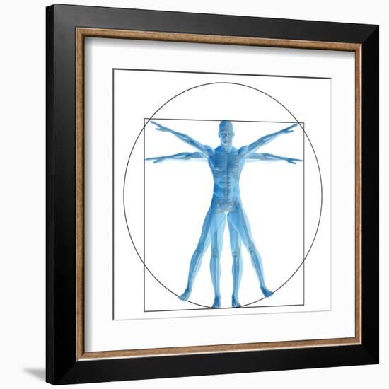 Vitruvian Human or Man, Anatomy Body for Biology-bestdesign36-Framed Art Print