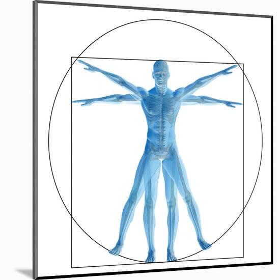 Vitruvian Human or Man, Anatomy Body for Biology-bestdesign36-Mounted Art Print