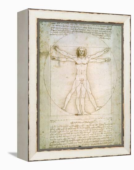 Vitruvian Man, c.1492-Leonardo da Vinci-Framed Premier Image Canvas