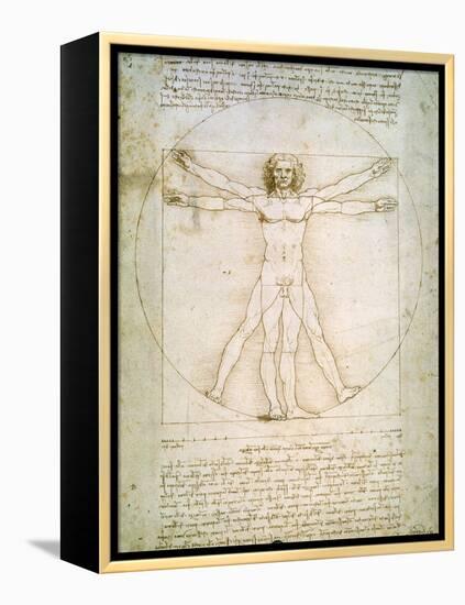 Vitruvian Man, c.1492-Leonardo da Vinci-Framed Premier Image Canvas