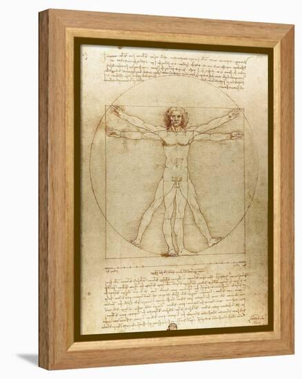 Vitruvian Man (Canon of Proportions) by Leonardo Da Vinci-Fine Art-Framed Premier Image Canvas