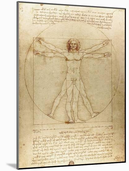 Vitruvian Man (Canon of Proportions) by Leonardo Da Vinci-Fine Art-Mounted Photographic Print