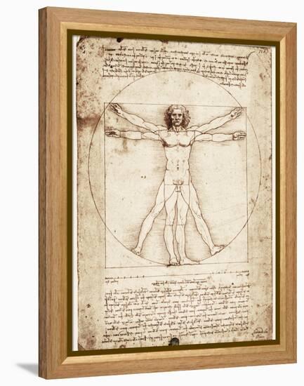 Vitruvian Man-Leonardo da Vinci-Framed Stretched Canvas