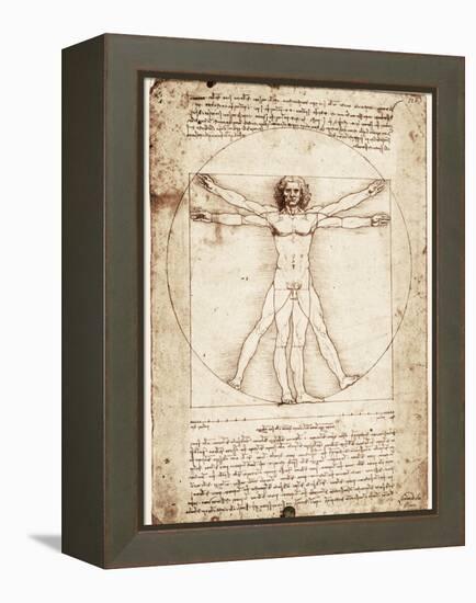 Vitruvian Man-Leonardo da Vinci-Framed Stretched Canvas