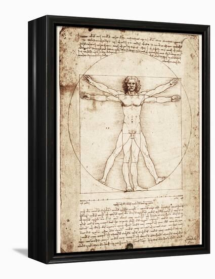 Vitruvian Man-Leonardo da Vinci-Framed Stretched Canvas