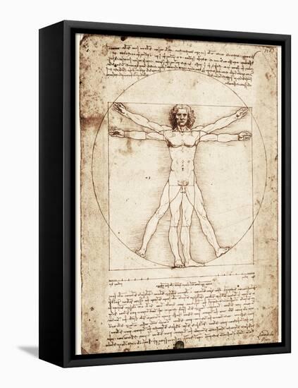 Vitruvian Man-Leonardo da Vinci-Framed Stretched Canvas