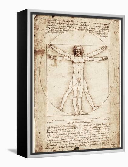 Vitruvian Man-Leonardo da Vinci-Framed Stretched Canvas