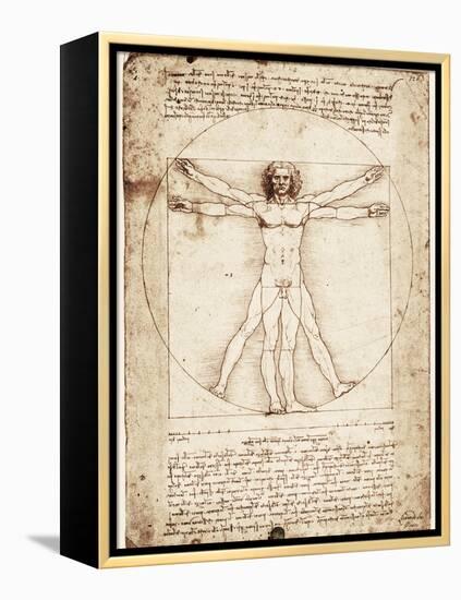 Vitruvian Man-Leonardo da Vinci-Framed Stretched Canvas