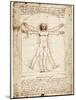 Vitruvian Man-Leonardo da Vinci-Mounted Art Print