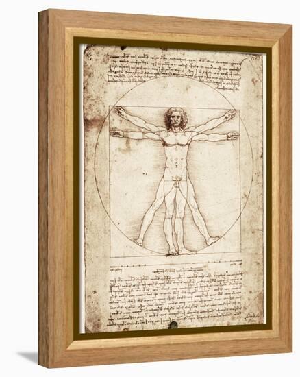 Vitruvian Man-Leonardo da Vinci-Framed Stretched Canvas