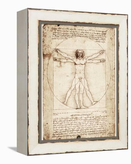 Vitruvian Man-Leonardo da Vinci-Framed Stretched Canvas