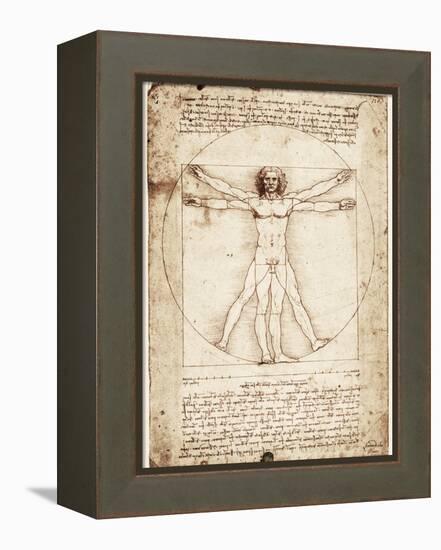 Vitruvian Man-Leonardo da Vinci-Framed Stretched Canvas