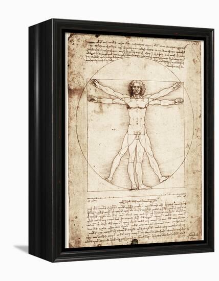 Vitruvian Man-Leonardo da Vinci-Framed Stretched Canvas