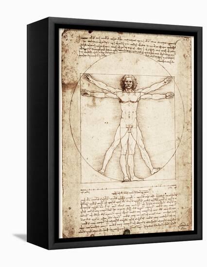 Vitruvian Man-Leonardo da Vinci-Framed Stretched Canvas