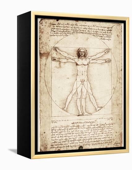 Vitruvian Man-Leonardo da Vinci-Framed Stretched Canvas