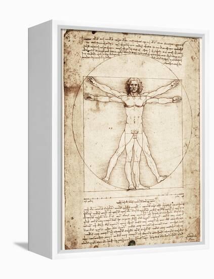 Vitruvian Man-Leonardo da Vinci-Framed Stretched Canvas