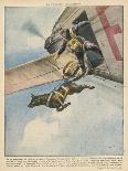 Finnish Parachutist Jumps with His Dog-Vittorio Pisani-Photographic Print