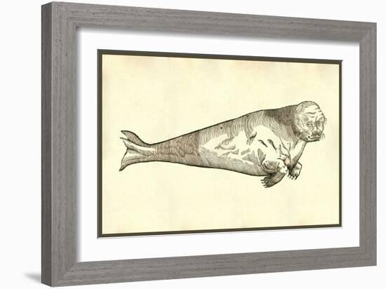 Vituli Marini Alia Species-Ulisse Aldrovandi-Framed Art Print