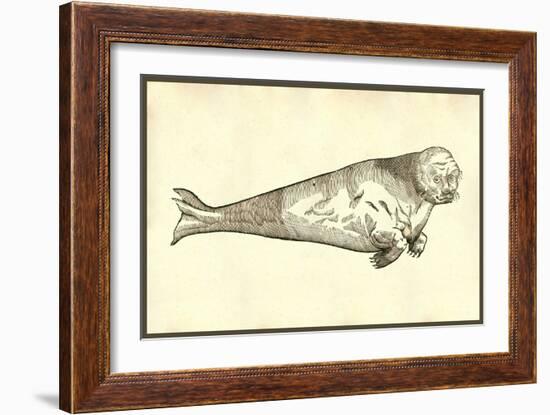 Vituli Marini Alia Species-Ulisse Aldrovandi-Framed Art Print