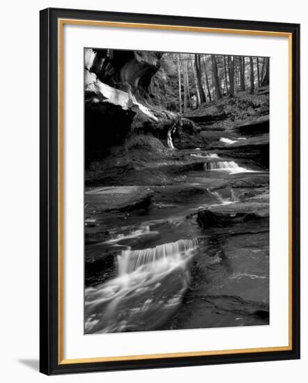 Vitz-Jim Crotty-Framed Photographic Print