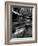 Vitz-Jim Crotty-Framed Photographic Print